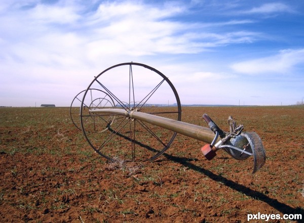 To Water the Fields